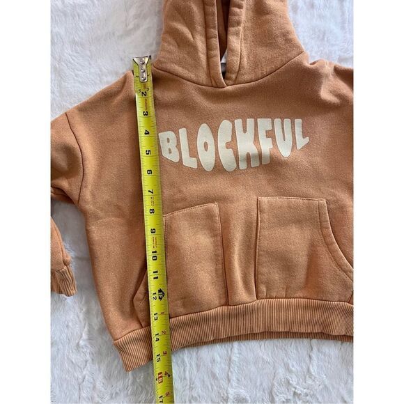 Zara Blockful Hoodie Size 2/3 Years - Picture 7 of 7